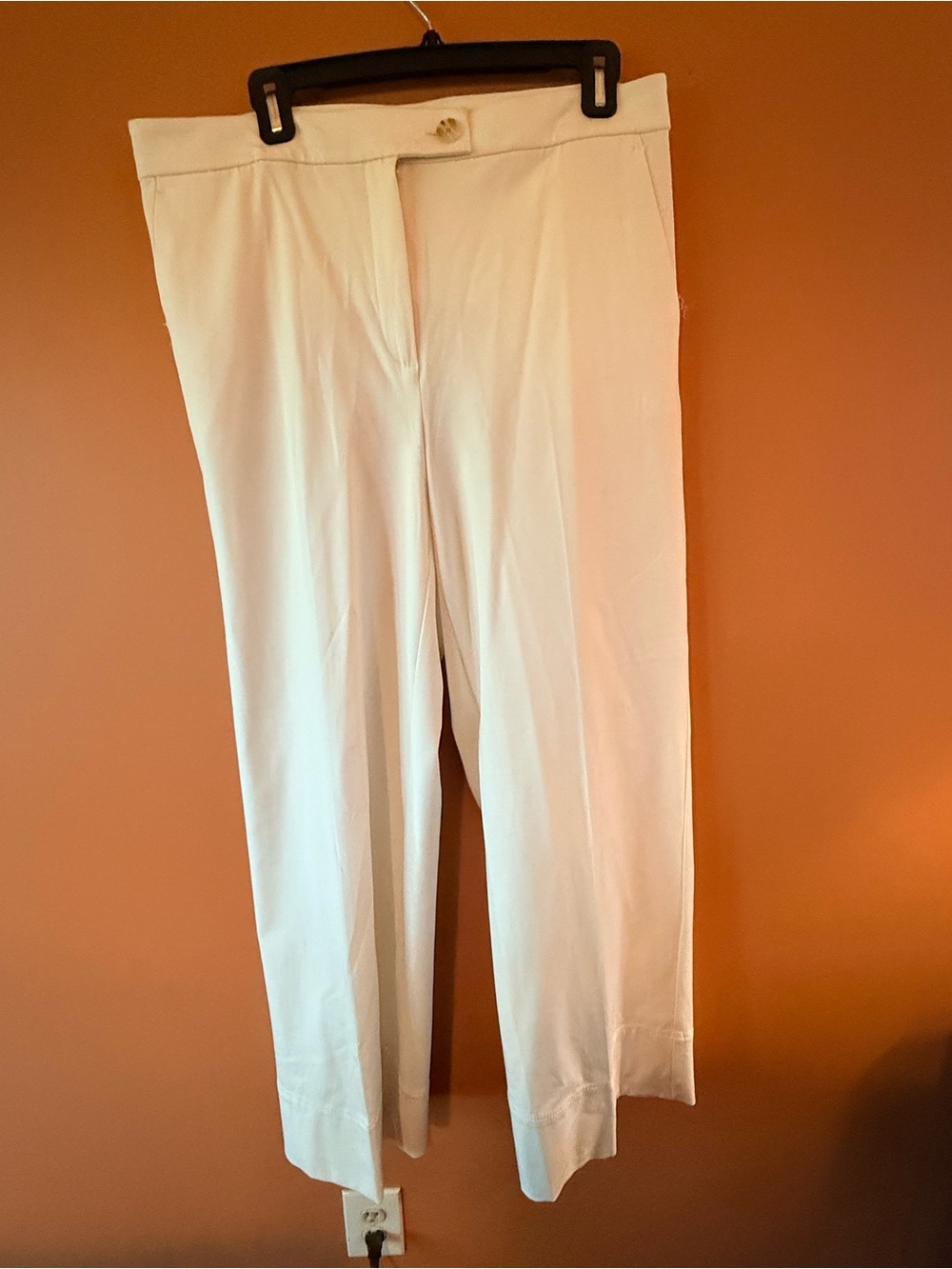 Ann Taylor Pants